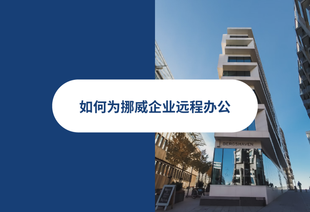 挪威公司远程