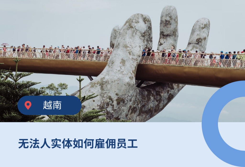 vietnam legal entity越南法人实体